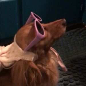 Meet your Posher, Evania